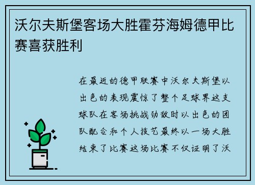 沃尔夫斯堡客场大胜霍芬海姆德甲比赛喜获胜利