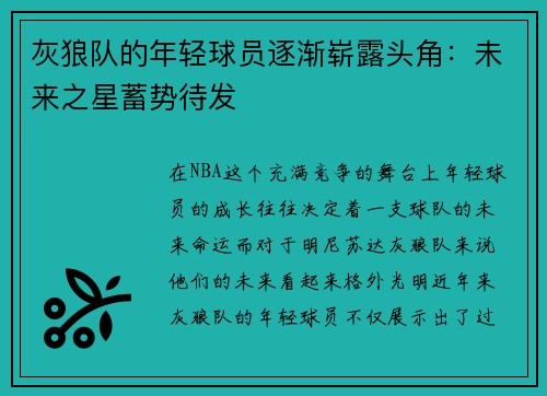 灰狼队的年轻球员逐渐崭露头角：未来之星蓄势待发